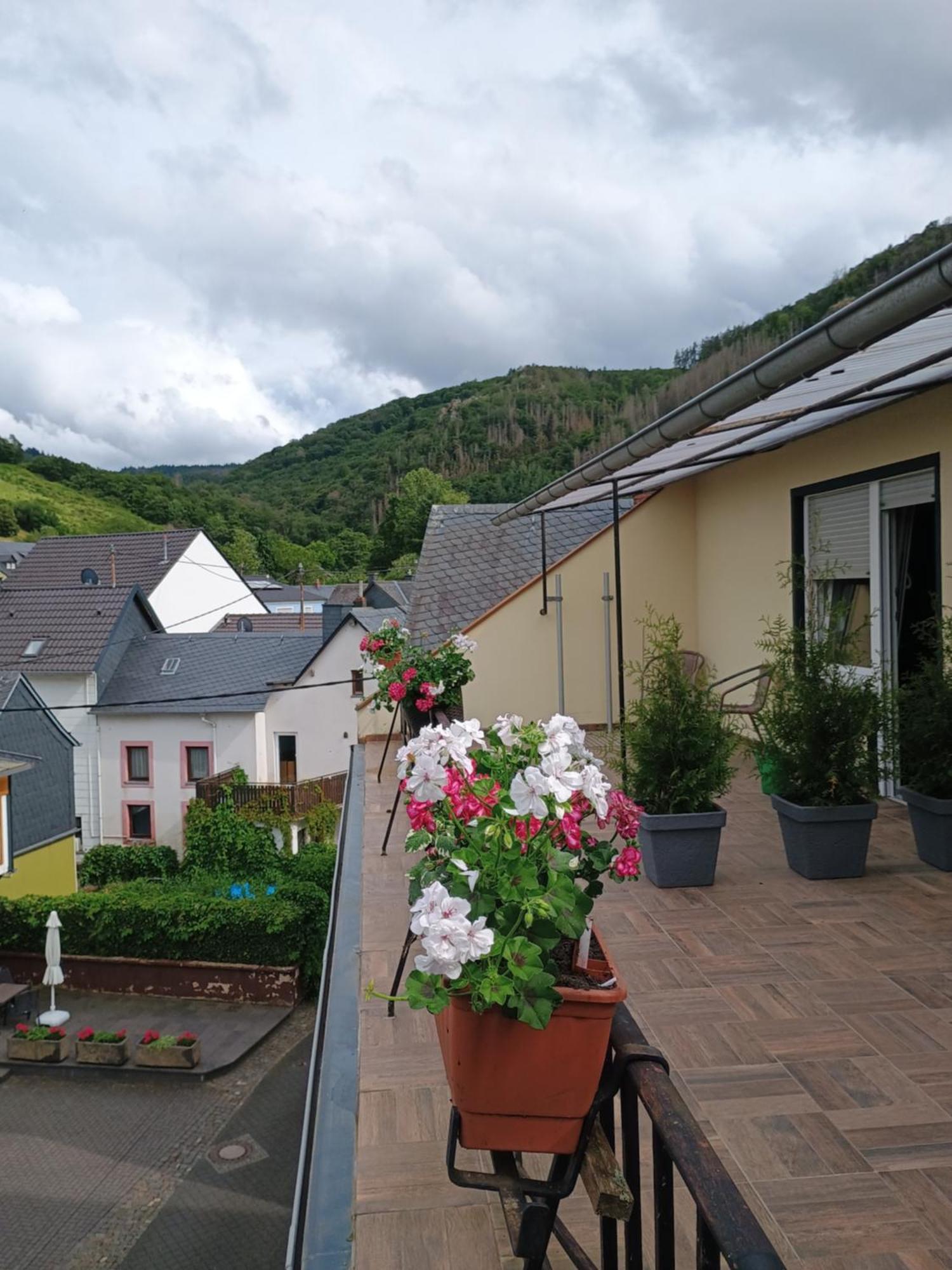 Gasthof Zur Grafschaft Veldenz Εξωτερικό φωτογραφία