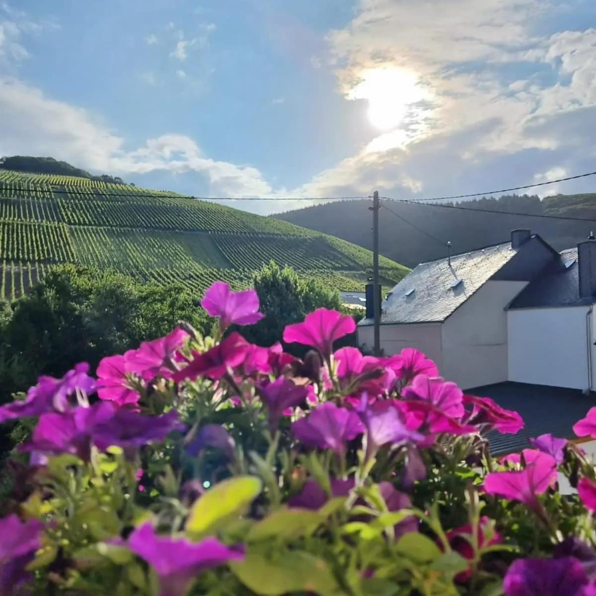 Gasthof Zur Grafschaft Veldenz Εξωτερικό φωτογραφία